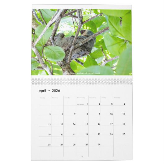Costa Rica Kalender (Apr 2026)