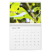 Costa Rica Kalender (Jan 2027)
