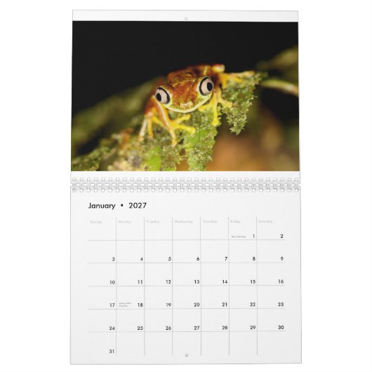 Costa Rica-Kalender Kalender (Jan 2027)
