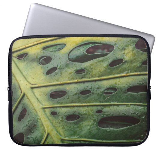 Costa rica laptopschutzhülle (Vorderseite)