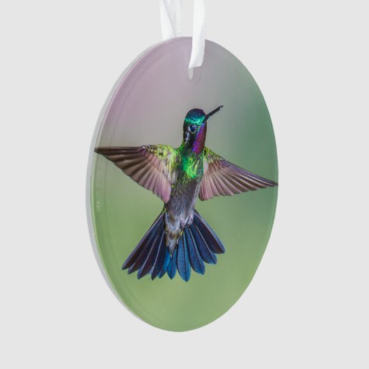 Costa Rica Lila, Green & Blue Flying Hummingbird Ornament (Vorderseite)