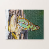 Costa Rica - Malachitenschmetterling Puzzle (Horizontal)