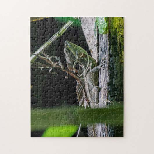 Costa Rica - Male Emerald Basilisk Lizard Puzzle (Vertikal)