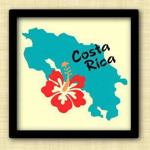 Costa Rica map art with hibiscus flower Poster