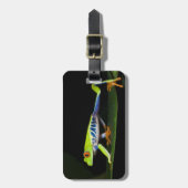 Costa Rica, mit Augen Baumfrosch (Agalychnis) Gepäckanhänger (Vorderseite vertikal)