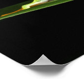 Costa Rica, mit Augen Baumfrosch (Agalychnis) Poster (Ecke)