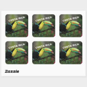 Costa Rica mit farbenprächtigem Toucan Quadratischer Aufkleber (Blatt)