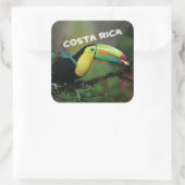 Costa Rica mit farbenprächtigem Toucan Quadratischer Aufkleber (Tasche)