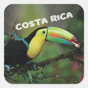 Costa Rica mit farbenprächtigem Toucan Quadratischer Aufkleber