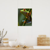 Costa Rica, Monteverde, Red-Eyed Tree Frog Poster (Küche)