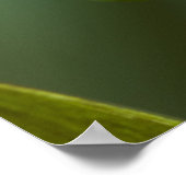 Costa Rica, Monteverde, Red-Eyed Tree Frog Poster (Ecke)