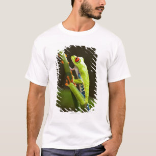 Costa Rica, Monteverde, Rot-Mit Augen Baum-Frosch T-Shirt