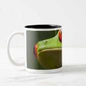 Costa Rica, Monteverde, Rot-Mit Augen Baum-Frosch Zweifarbige Tasse (Links)
