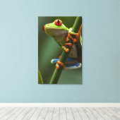 Costa Rica, Monteverde, Roter Mit Augen Baumfrosch Leinwanddruck (Insitu (Holzboden))