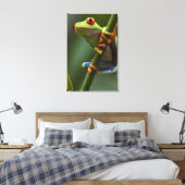Costa Rica, Monteverde, Roter Mit Augen Baumfrosch Leinwanddruck (Insitu (Schlafzimmer))