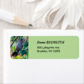 Costa Rica, Muelle - Lazy Iguana in einem Baum (Insitu)