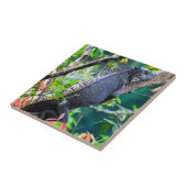 Costa Rica, Muelle - Lazy Iguana in einem Baum Fliese (Seite)