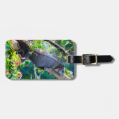 Costa Rica, Muelle - Lazy Iguana in einem Baum Gepäckanhänger (Vorderseite horizontal)