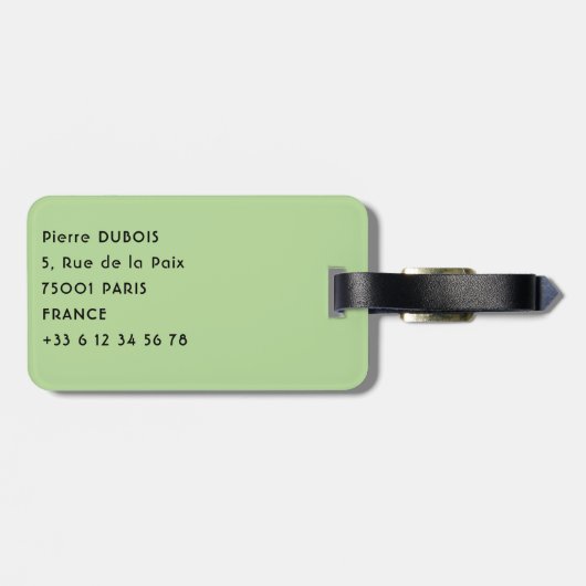 Costa Rica, Muelle - Lazy Iguana in einem Baum Gepäckanhänger (Rückseite horizontal)