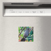 Costa Rica, Muelle - Lazy Iguana in einem Baum Magnet (In Situ (Geschirrspüler))