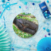 Costa Rica, Muelle - Lazy Iguana in einem Baum Pappteller (Party)