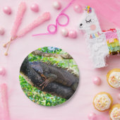 Costa Rica, Muelle - Lazy Iguana in einem Baum Pappteller (Party)