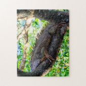 Costa Rica, Muelle - Lazy Iguana in einem Baum Puzzle (Vertikal)