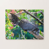 Costa Rica, Muelle - Lazy Iguana in einem Baum Puzzle (Horizontal)