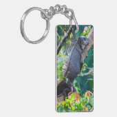 Costa Rica, Muelle - Lazy Iguana in einem Baum Schlüsselanhänger (Vorderseite links)