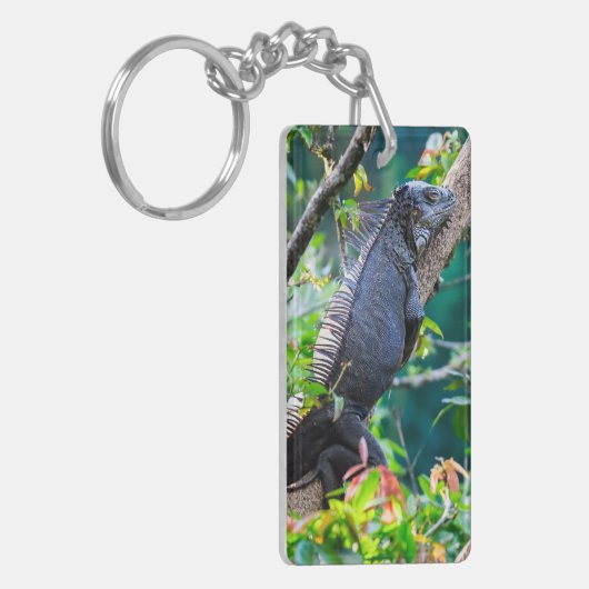 Costa Rica, Muelle - Lazy Iguana in einem Baum Schlüsselanhänger (Vorderseite links)