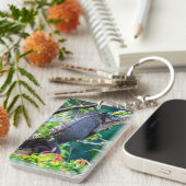 Costa Rica, Muelle - Lazy Iguana in einem Baum Schlüsselanhänger (Vorderseite rechts)