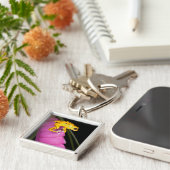 Costa Rica. Naher Giftdarmfrosch Schlüsselanhänger (Seite)