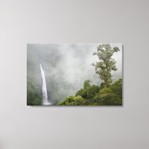 Costa Rica, Nebelwald in den Bergen in der Nähe vo Leinwanddruck
