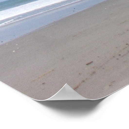 Costa Rica Palm #3 Poster (Ecke)