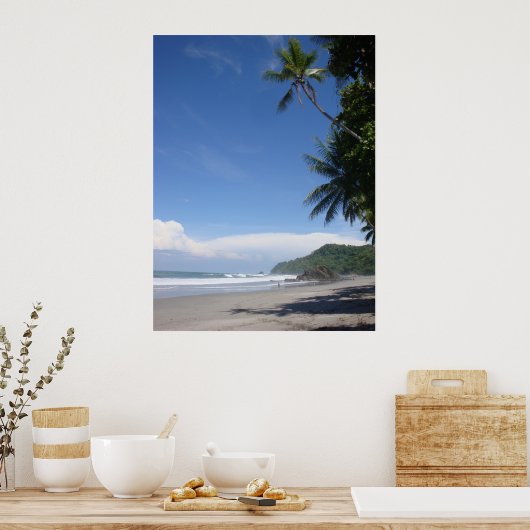Costa Rica Palm #3 Poster (Küche)