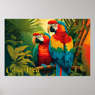 Costa Rica Parrots Poster