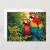Costa Rica Parrots Postkarte (Vorne/Hinten)