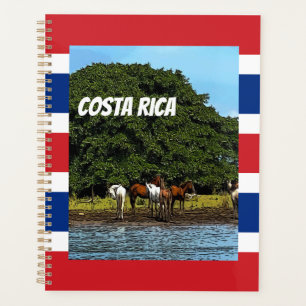 Costa Rica - Pferde am Wasser Planer