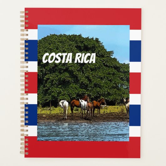 Costa Rica - Pferde am Wasser Planer (Vorderseite)