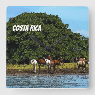 Costa Rica - Pferde am Wasser Quadratische Wanduhr