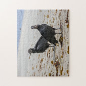 Costa Rica, Punta Cahuita - Schwarze Geier Puzzle (Vertikal)