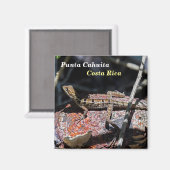 Costa Rica, Punta Cahuita - Weibliche Basilisk Liz Magnet (Vorderseite/Rückseite)