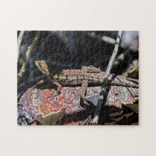 Costa Rica, Punta Cahuita - Weibliche Basilisk Liz Puzzle