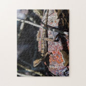 Costa Rica, Punta Cahuita - Weibliche Basilisk Liz Puzzle (Vertikal)