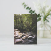 Costa Rica Rainforest Postcard Postkarte (Stehend Vorderseite)