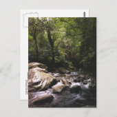 Costa Rica Rainforest Postcard Postkarte (Vorne/Hinten)