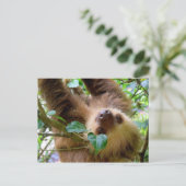Costa Rica Rainforest Sloth Postkarte (Stehend Vorderseite)