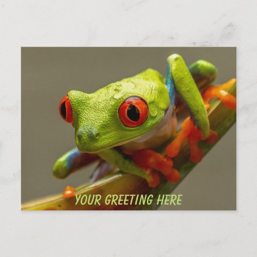 Costa Rica Red-Mit Augen Frog Personalisiert Postkarte (Vorderseite)