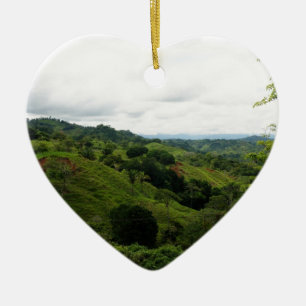 Costa Rica-Regen-Wald Keramikornament