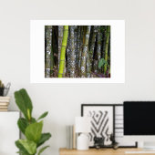 Costa Rica Regenwald Bamboo Art Poster (Heimbüro)
